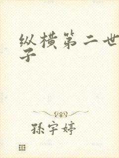 纵横第二世界宽子