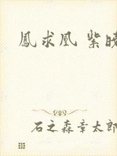 凤求凰 紫晓