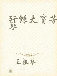 轩辕大宝芳菲雅琴