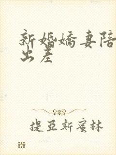 新婚娇妻陪局长出差封面