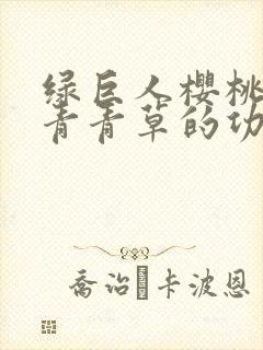 绿巨人樱桃荔枝青青草的功效封面
