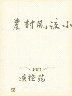 农村风流小说