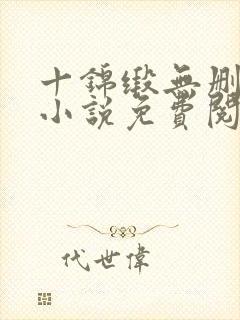 十锦缎无删原著小说免费阅读封面