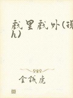戏里戏外(现场h)