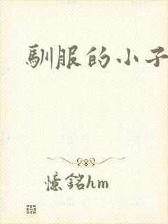 驯服的小子4