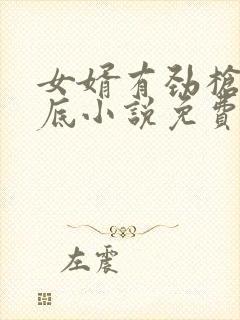 女婿有劲枪枪到底小说免费阅读封面