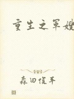 重生之军嫂封面