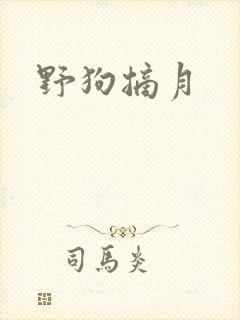 野狗摘月封面