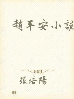 赵平安小说主角封面