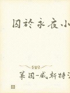 囚于永夜小说封面
