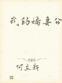 我的娇妻公务员