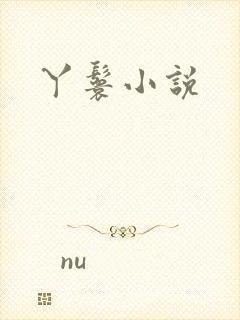丫鬟小说