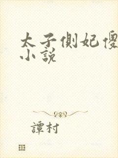 太子侧妃傻乎乎小说