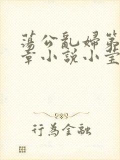 荡公乱妇第51章小说小莹封面