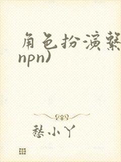 角色扮演系统(npn)