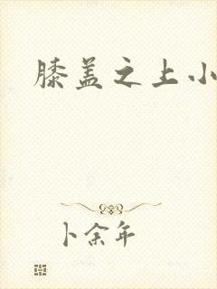 膝盖之上小说封面