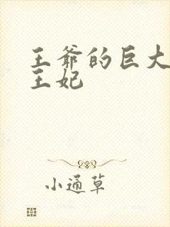王爷的巨大进入王妃封面