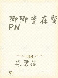 卿卿实在贤良NPN