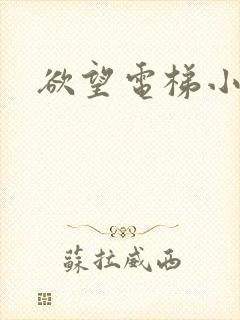 欲望电梯小说