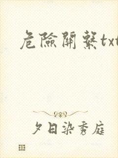 危险关系txt封面