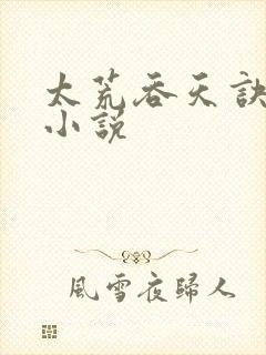 太荒吞天诀免费小说