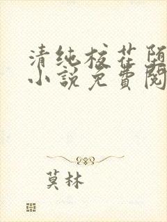 清纯校花堕落记小说免费阅读