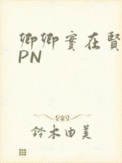 卿卿实在贤良NPN
