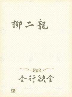 柳二龙封面