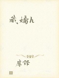 藏娇h