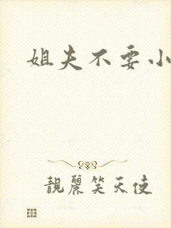 姐夫不要小说