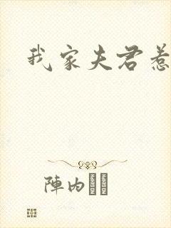 我家夫君惹不起