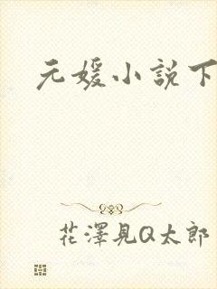 元媛小说下载