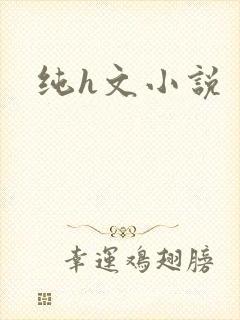 纯h文小说封面