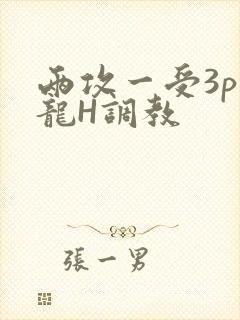 两攻一受3p双龙H调教