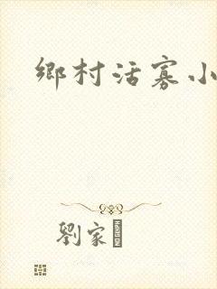 乡村活寡小说封面