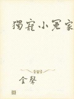独宠小冤家封面
