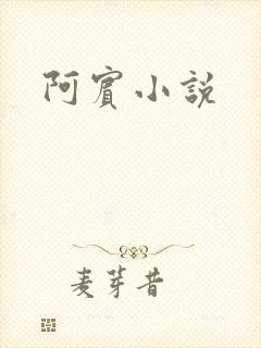 阿宾小说封面