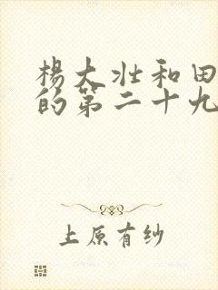 杨大壮和田桂花的第二十九