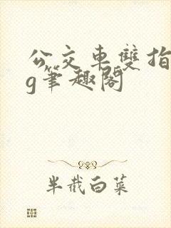 公交车双指探洞g笔趣阁