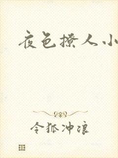 夜色撩人小说