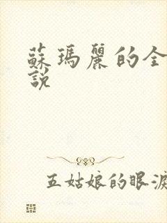 苏玛丽的全部小说