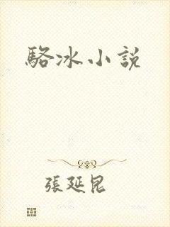 骆冰小说