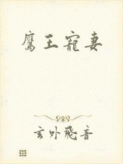 鹰王宠妻封面