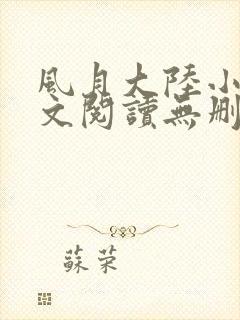 风月大陆小说全文阅读无删减封面