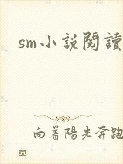 sm小说阅读