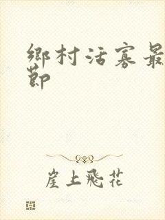 乡村活寡最新章节
