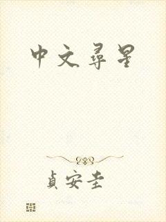 中文寻星封面