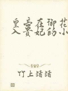 皇帝在御花园进入贵妃的小说