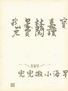 我是林喜宝小说免费阅读