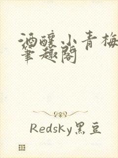 酒酿小青梅po笔趣阁